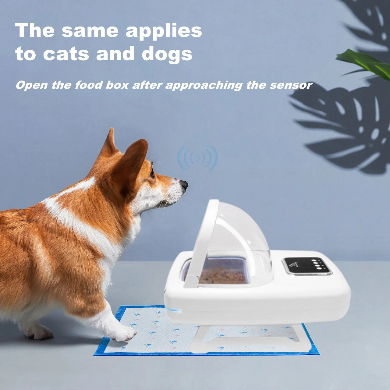 Automatic Anti-food Snatching Smart Feeder Equipped with Chip Recognition Sensor High-tech Feeder - Supersell 
